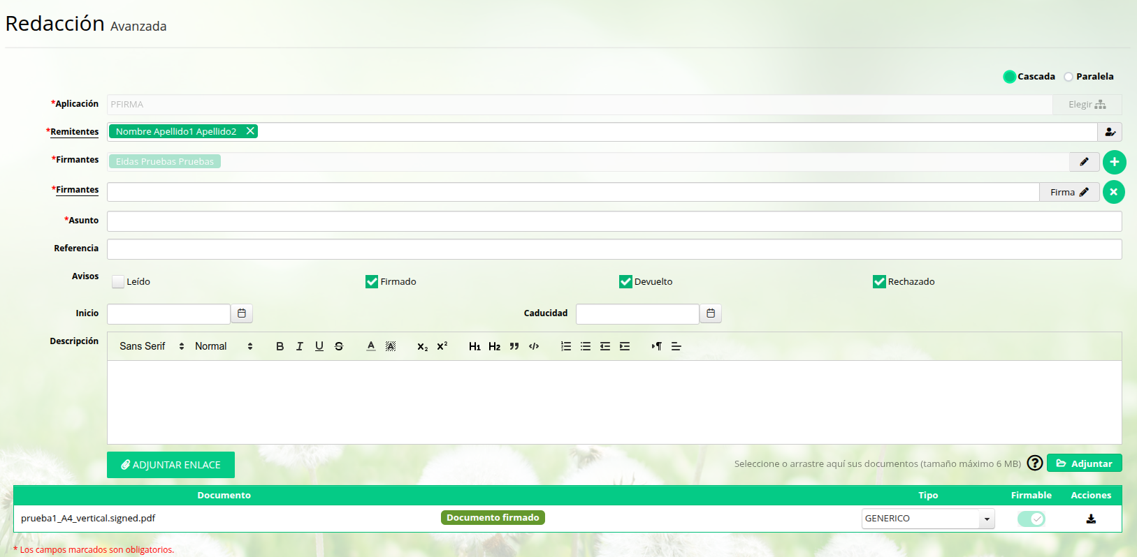 Redacción con campos rellenos por realizar continuidad de firma